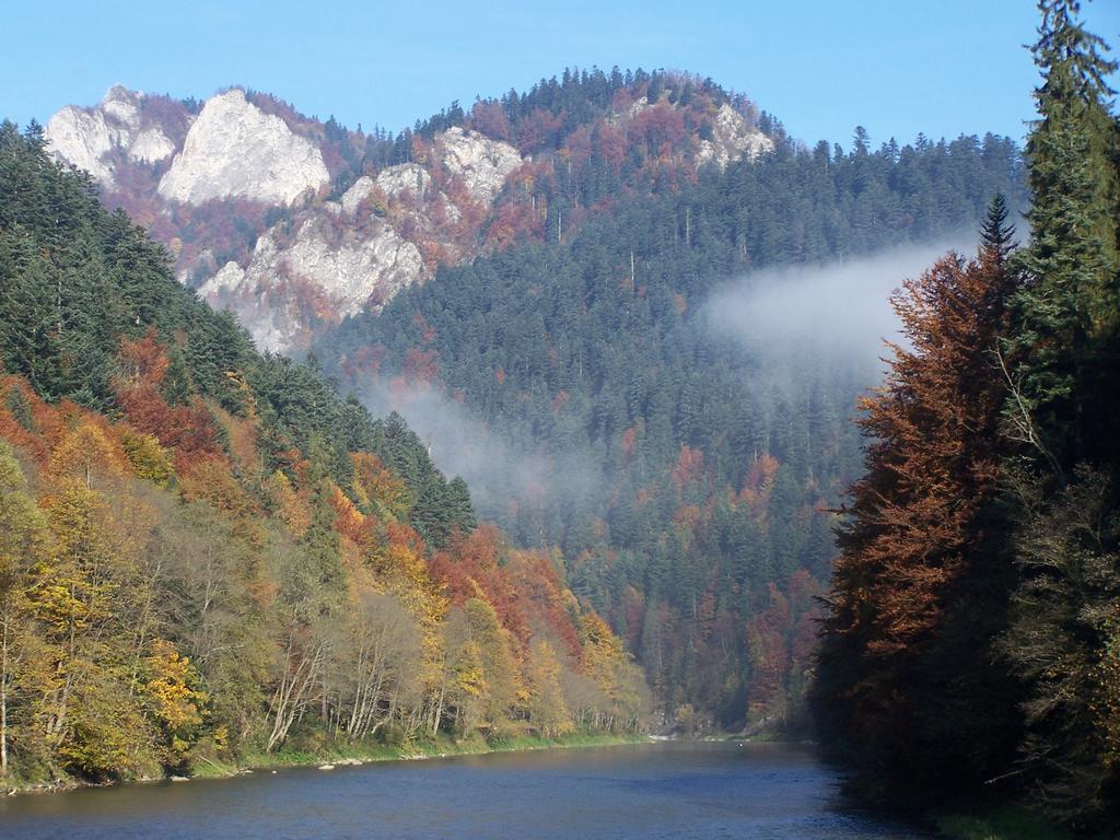 Familiowka Villa Mizerna ภายนอก รูปภาพ