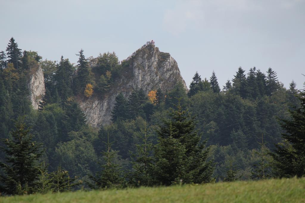 Familiowka Villa Mizerna ภายนอก รูปภาพ